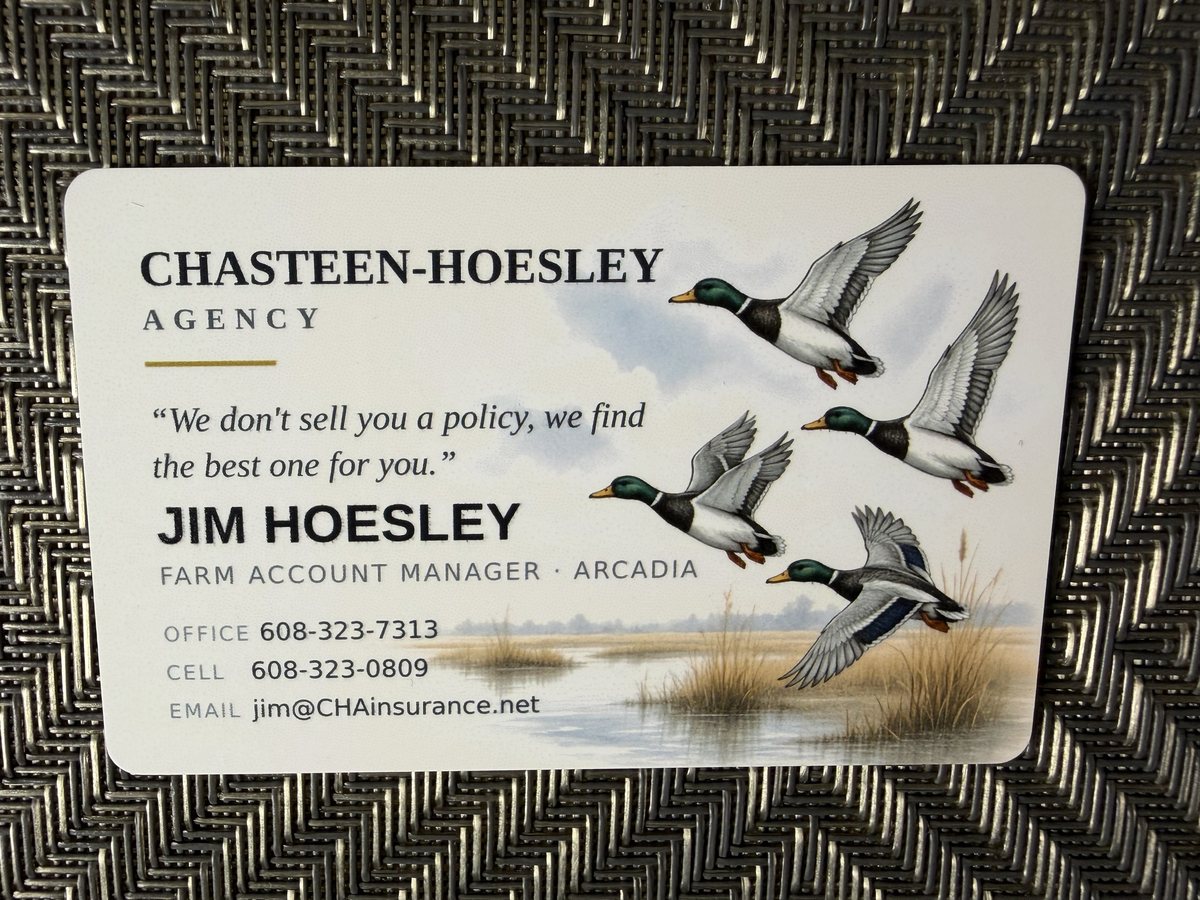 Full-color UV printed insurance agency card with a painted mallard scene